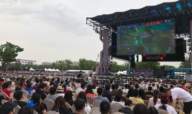 团队的支持 团队的支持